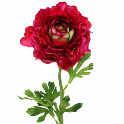 Floristik24 Ranunculus dark pink artificial 51cm