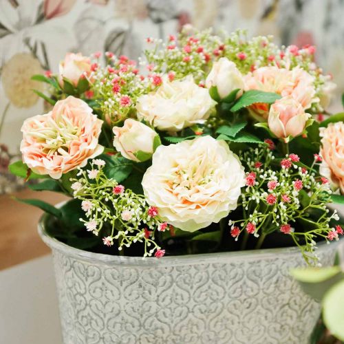 Floristik24 Ranunculus Peach H45cm