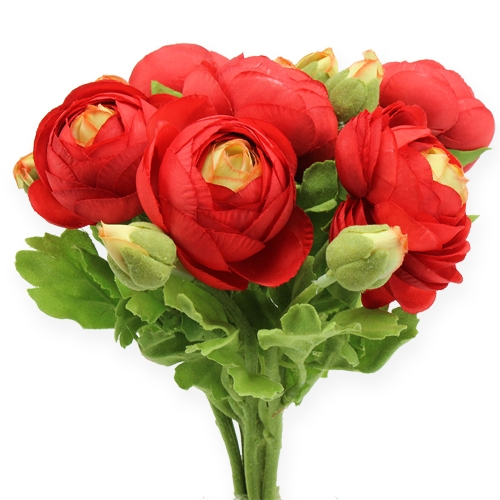 Floristik24 Ranunculus bouquet red 30cm
