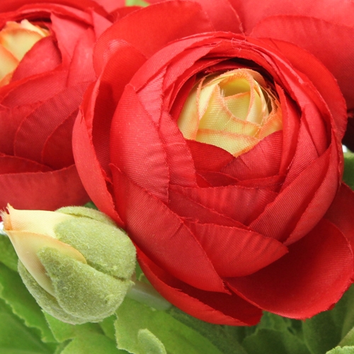 Product Ranunculus bouquet red 30cm