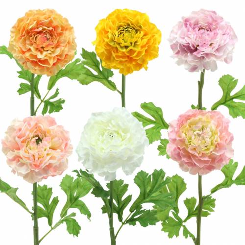 Ranunculus different colors H45cm