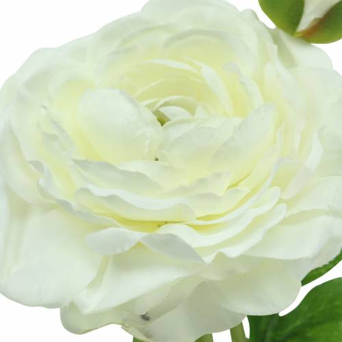 Floristik24 Artificial flower ranunculus with blossom and bud white H34cm