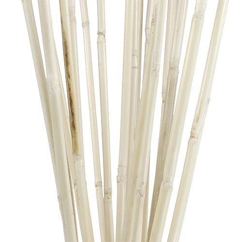 Floristik24 Rattan sticks whitewashed 100cm 20 pcs