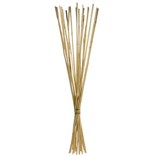 Floristik24 Rattan stems 100cm natural 20 pcs