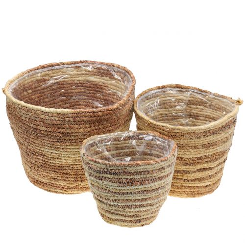 Floristik24 Plant basket rattan nature/brown Ø26/22/16cm 3pcs