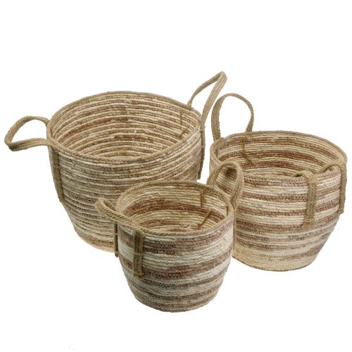 Floristik24 Rattan basket natural / brown Ø40 / 32 / 26cm 3pcs