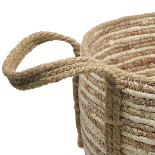 Floristik24 Rattan basket natural / brown Ø40 / 32 / 26cm 3pcs