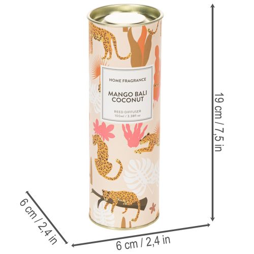 Product Room fragrance diffuser with exotic coconut and mango scent for long-lasting freshness at home, 19cm, 2 pieces