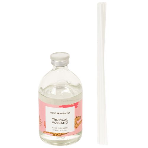 Product Room fragrance diffuser with exotic coconut and mango scent for long-lasting freshness at home, 19cm, 2 pieces