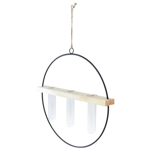 Floristik24 Test tube decorative vase, metal ring, black, hanging, modern