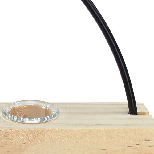 Product Test tube decorative vase, metal ring, black, hanging, modern