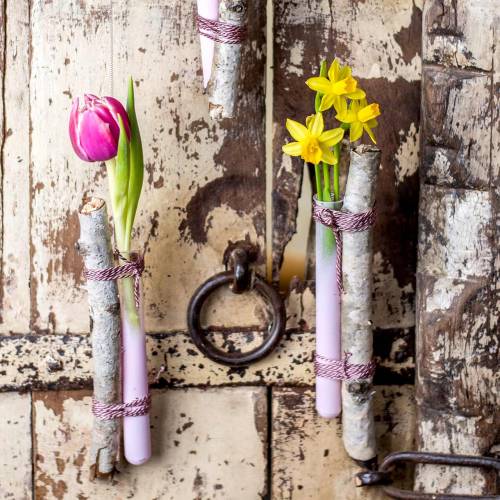 Product Test tube 160mm × 22mm