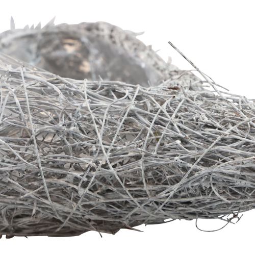 Floristik24 Rebenherz Plant Heart Plant Bowl White Natural 16×21×8cm