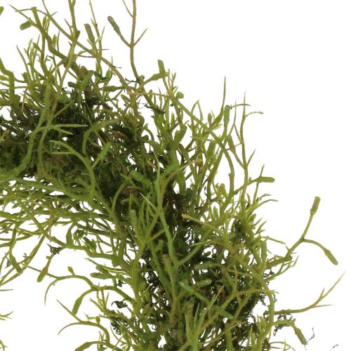 Floristik24 Spring wreath with moss green Ø30cm