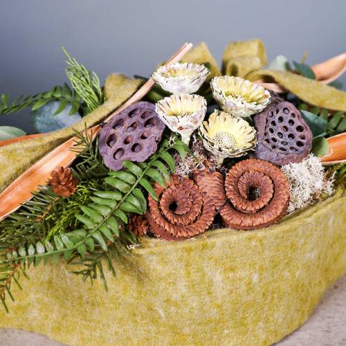 Product Repens Rosette Green frosted 8cm - 9cm 25 pcs