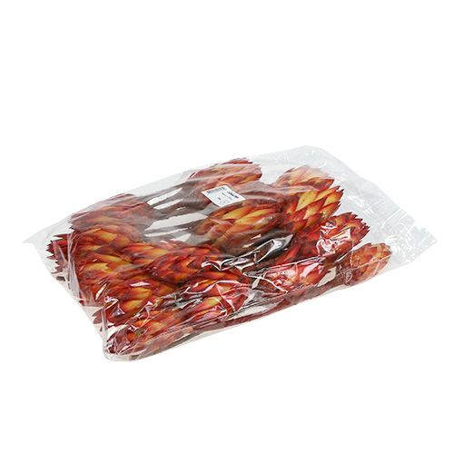 Product Repens Red 2-Tone 25 pcs