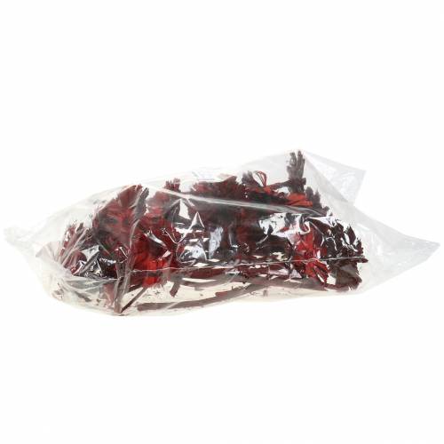 Repens Rosette Red 8cm - 9cm 25 pcs | Floristik24.ie