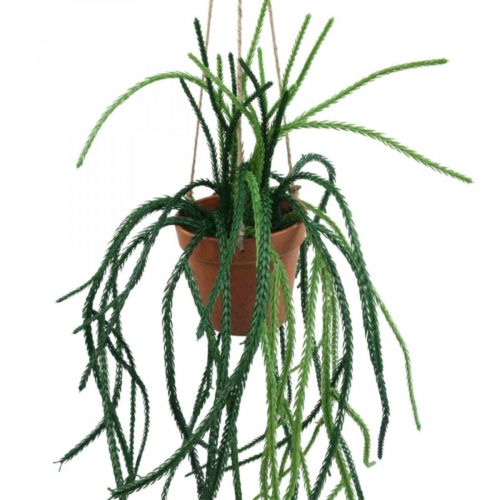 Rhipsalis artificial coral cactus hanging basket H87cm