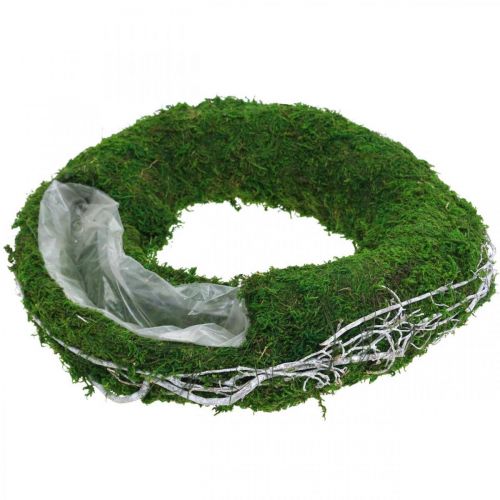 Floristik24 Moss wreath plant ring with vines and moss green, white Ø35cm