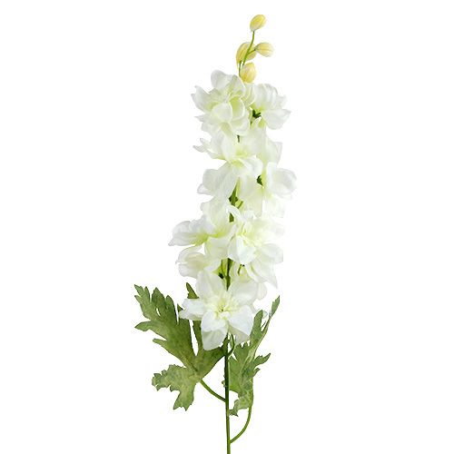 Floristik24 Larkspur white L60cm