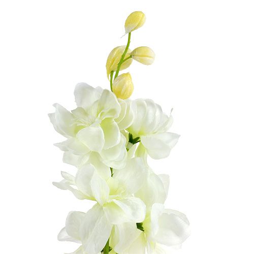 Floristik24 Larkspur white L60cm