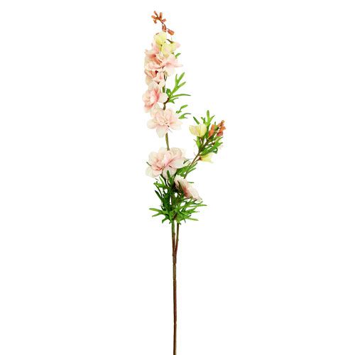 Floristik24 Larkspur Delphinium light pink L95cm