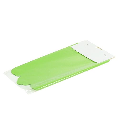 Floristik24 Rondella cuff apple green Ø38cm 50p