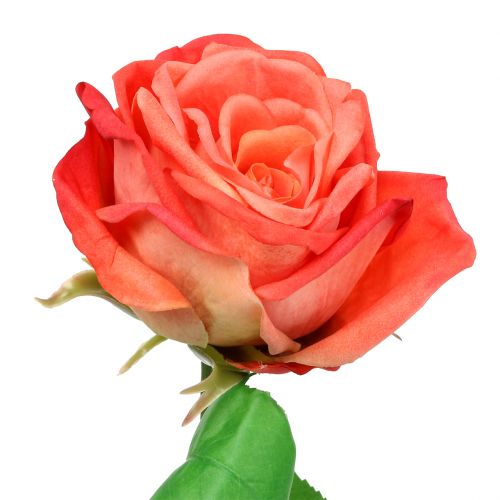 Floristik24 Rose artificial flower salmon 67.5cm