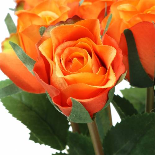 Product Rose Orange 42cm 12pcs