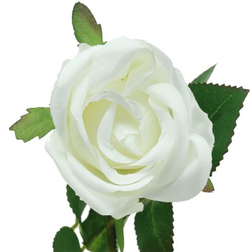 Product Rose white 44cm for decoration 6pcs