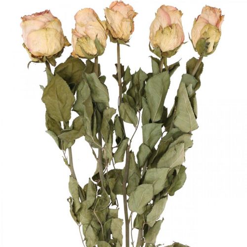 Floristik24 Decorative roses, dried flowers, dried roses, Valentine&#39;s Day, funeral floristry, rustic roses yellow-pink L48cm 5 pcs