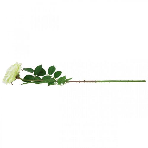 Product Artificial rose, decorative rose, silk flower cream white, green L72cm Ø12cm
