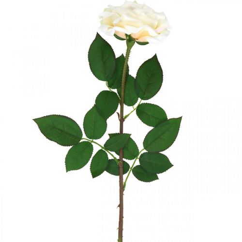 Product Creamy white apricot rose, silk flower, artificial roses L72cm Ø12cm
