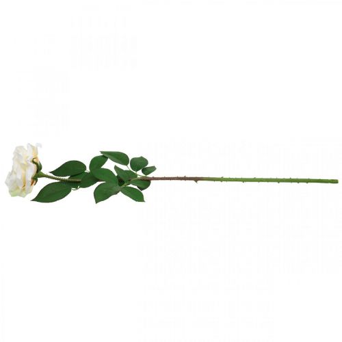 Product Creamy white apricot rose, silk flower, artificial roses L72cm Ø12cm