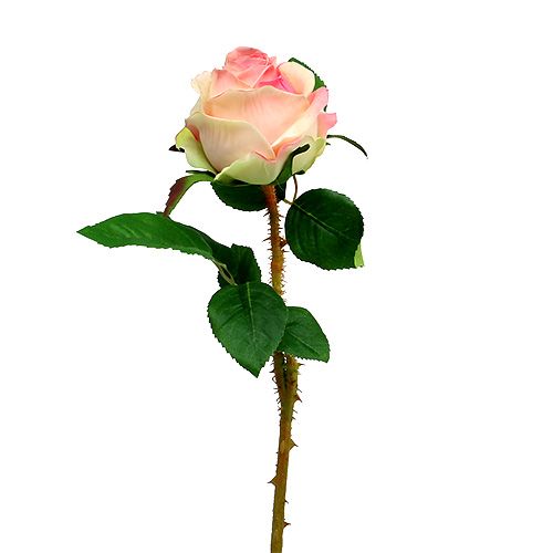 Artificial rose cream-pink Ø9cm L45cm 1p
