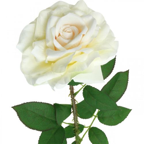 Product Silk flower, rose on a stem, artificial plant cream white, pink L72cm Ø13cm