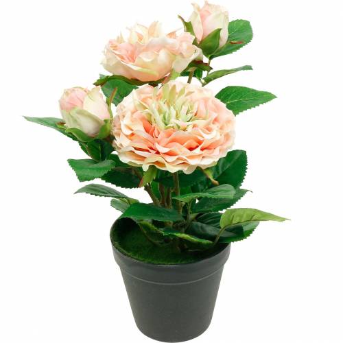 Product Decorative rose in pot, romantic silk flowers, pink peony