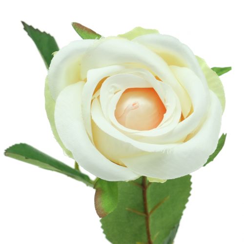 Floristik24 Artificial rose cream 44cm 6pcs