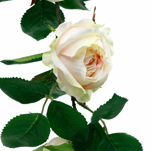 Floristik24 Romantic Rose Garland Silk Flower Artificial Rose Vine 160cm