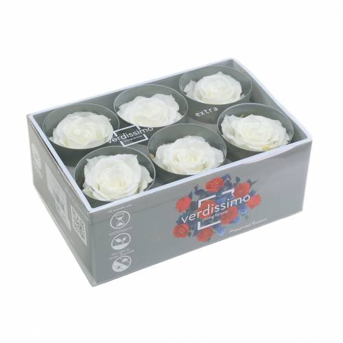Product Infinity Roses Large Ø5.5-6cm White 6 pcs