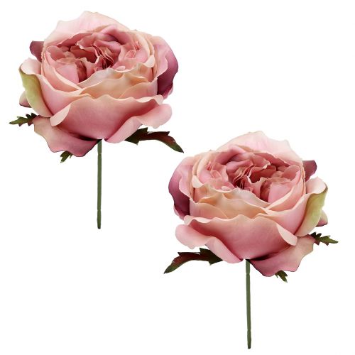 Floristik24 Rose head cream, pink 17cm 4pcs