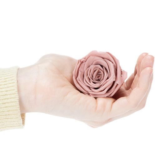Product Preserved rose heads, romantic gift, long-lasting roses for special occasions, 5cm, 6 pieces