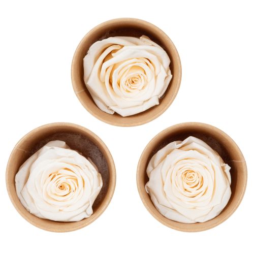 Rose heads, preserved flowers for elegant floral arrangements, 5cm, 6 pieces