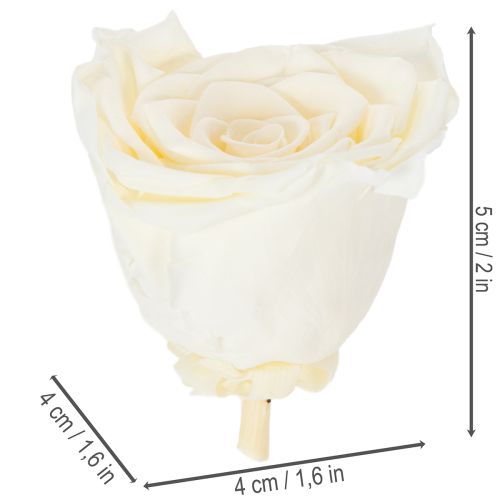 Product Preserved Rose Heads, Durable Table Decoration for a Romantic Atmosphere, Wedding Decoration, 5cm, 6 Pieces