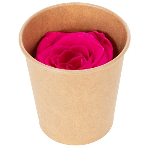 Product Preserved Rose Decorations, Real Flowers for Table Decoration, Unique and Sustainable Blooms, 5cm, 6 Pieces