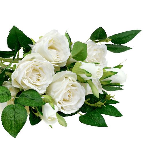 Product Bouquet of roses white L46cm