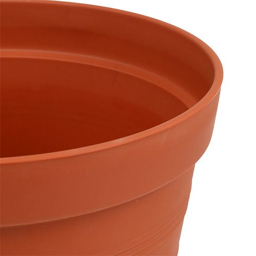 Product Rose pot plastic 19cm terracotta 1 pc