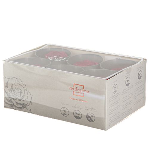 Product Forever Roses Preserved Infinity Roses Red Ø6cm 6pcs