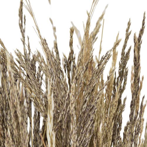 Floristik24 Bent grass Agrostis Capillaris dry grasses natural 60cm 80g