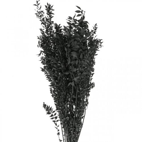 Product Ruscus branches decorative branches dried flowers black 200g